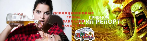 PSILOCYBIN Богородицк