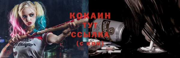 PSILOCYBIN Богородицк