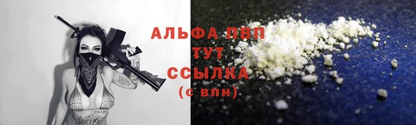 PSILOCYBIN Богородицк