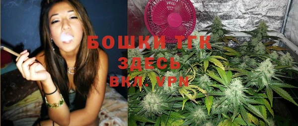 PSILOCYBIN Богородицк