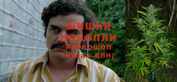 PSILOCYBIN Богородицк
