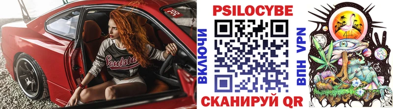 даркнет телеграм  где купить наркоту  Обь  Псилоцибиновые грибы Psilocybe 